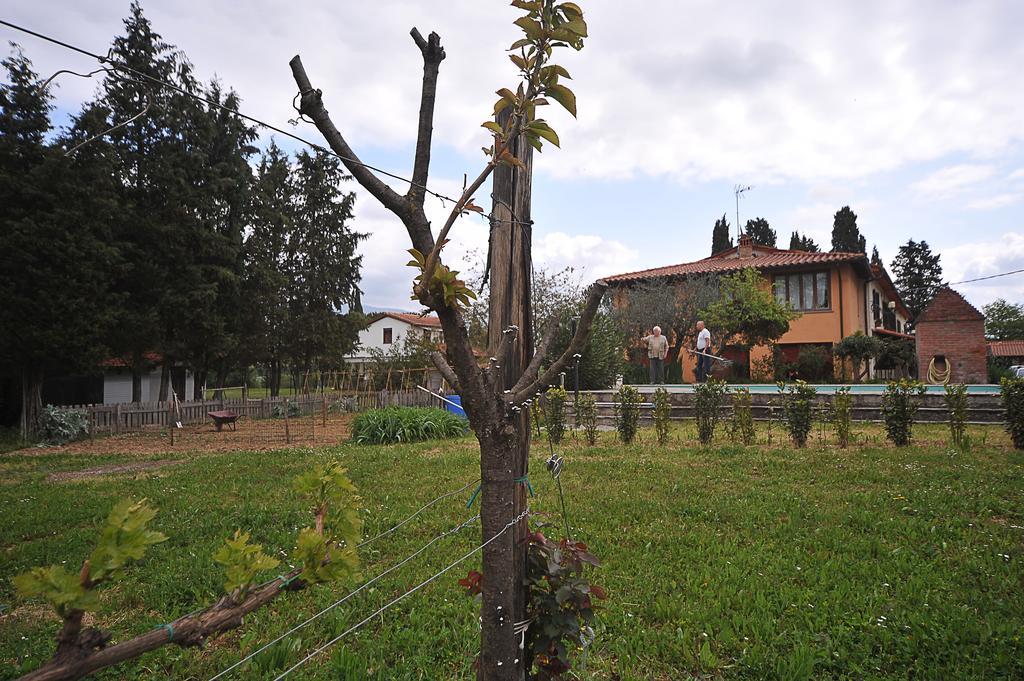 Artenatura Beb Terranuova Bracciolini Exteriör bild
