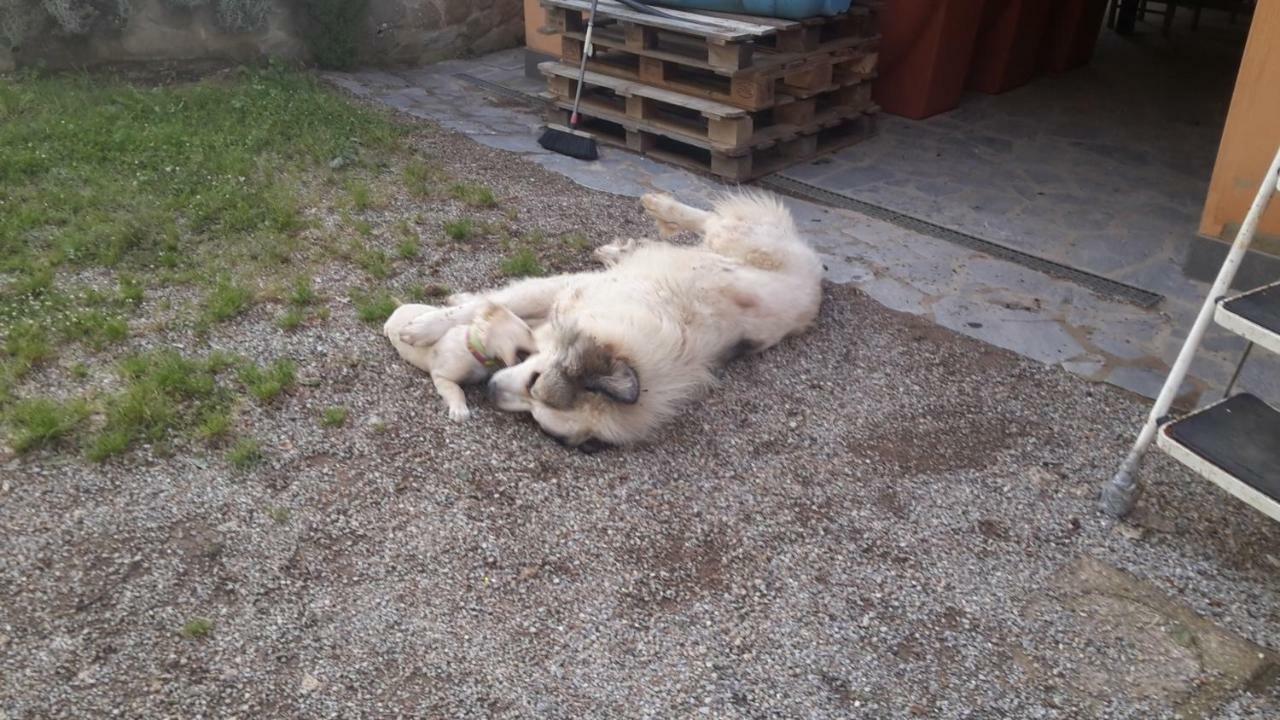 Artenatura Beb Terranuova Bracciolini Exteriör bild